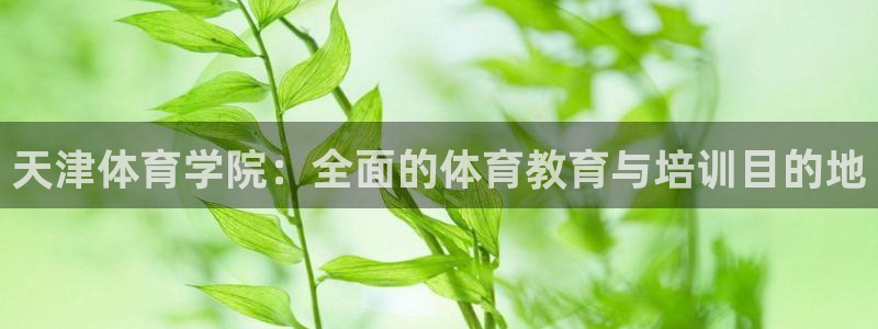 极悦平台使用教程：天津体育学院：全面的体育教育与培训