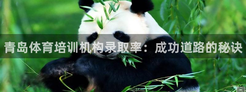 极悦平台官网登录不了怎么回事：青岛体育培训机构录取率