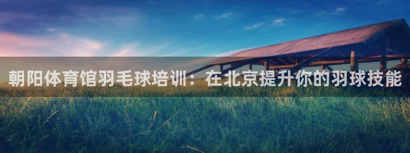 极悦平台注册官网网址：朝阳体育馆羽毛球培训：在北京提