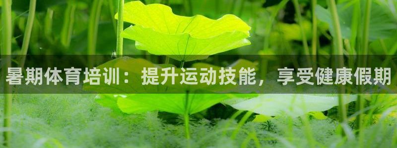 极悦娱乐负责人：暑期体育培训：提升运动技能，享受健康
