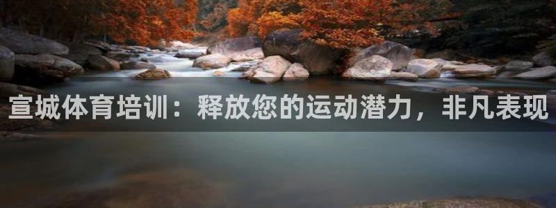 极悦平台注册登录不上：宣城体育培训：释放您的运动潜力