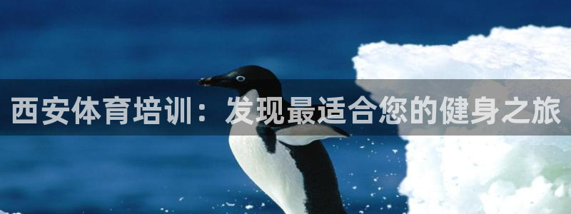 极悦平台官方网站登录不了：西安体育培训：发现最适合您