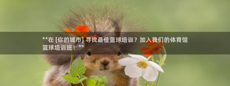 极悦官网入口登录网址：**在 [你的城市] 寻找最佳