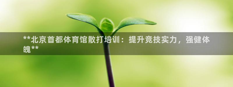 极悦平台注册官方网站下载：**北京首都体育馆散打培训