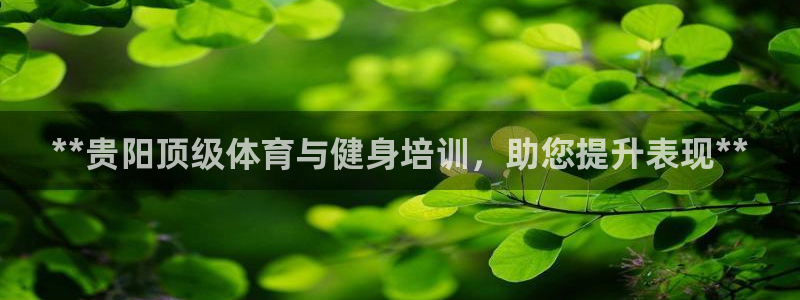 极悦平台看7O777：**贵阳顶级体育与健身培训，助