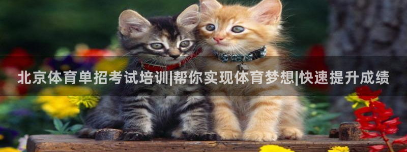 舒客极悦牙膏：北京体育单招考试培训|帮你实现体育梦想