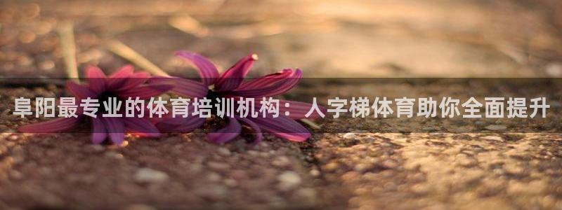 极悦平台注册流程图：阜阳最专业的体育培训机构：人字梯