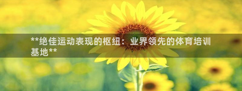 极悦官网首页登录入口网址：**绝佳运动表现的枢纽：业