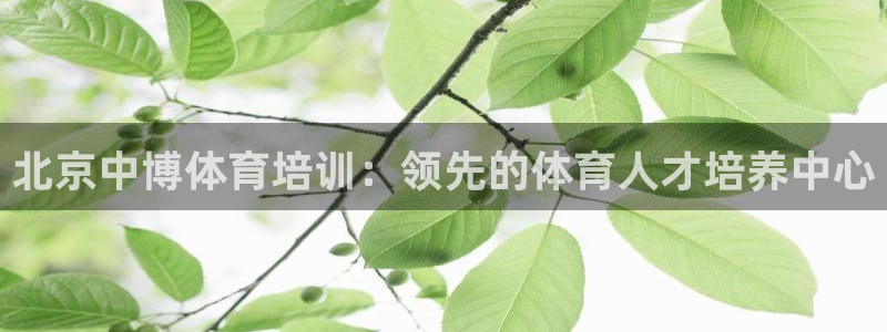 极悦平台注册官方网站下载安卓版：北京中博体育培训：领