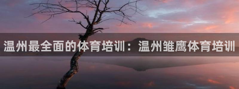 极悦平台与网易合作详情：温州最全面的体育培训：温州雏