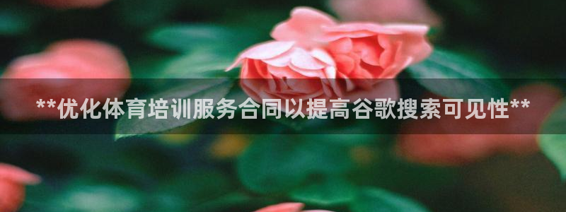 极悦平台使用注意事项：**优化体育培训服务合同以提高