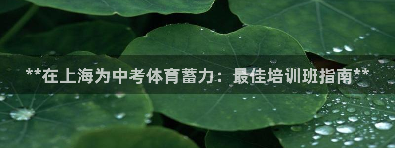 极悦平台注册官方网站下载：**在上海为中考体育蓄力：最佳培训