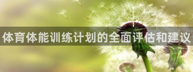 极悦平台是什么公司：体育体能训练计划的全面评估和建议