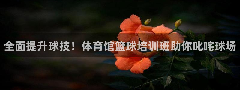 极悦平台是什么公司：全面提升球技！体育馆篮球培训班助