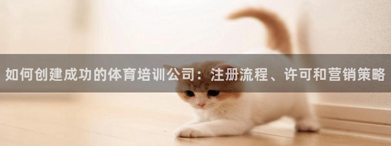 极悦平台代理怎么做：如何创建成功的体育培训公司：注册