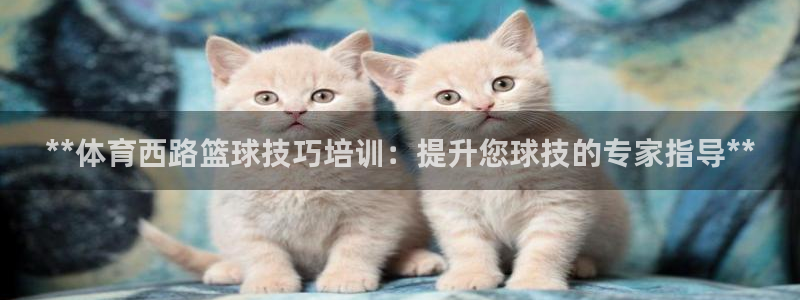 极悦平台官方网址查询：**体育西路篮球技巧培训：提升