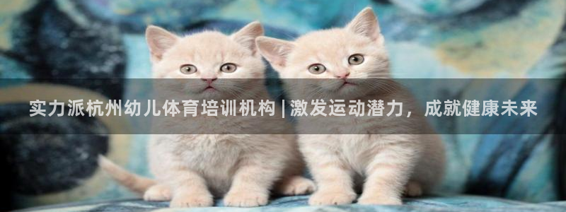 极悦平台app安全吗可靠吗：实力派杭州幼儿体育培训机