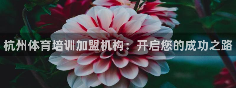 极悦官网下载最新版本更新内容视频：杭州体育培训加盟机