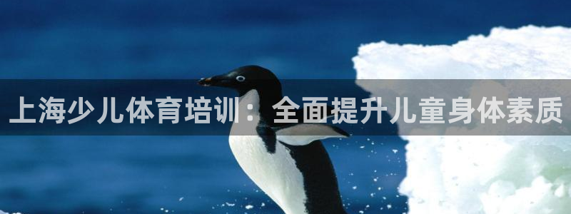 极悦平台注册官方网站下载安卓手机：上海少儿体育培训：