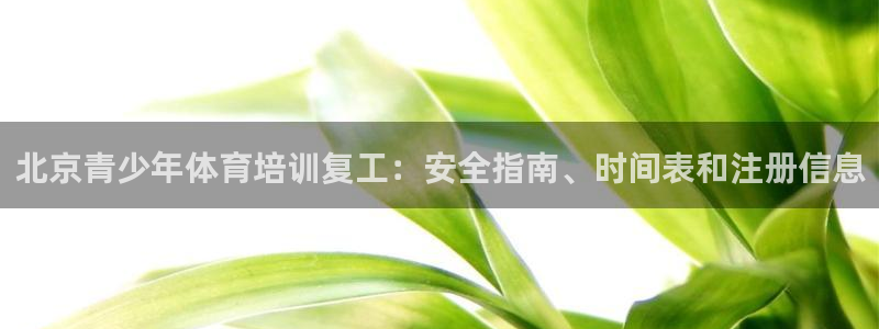 极悦平台的注册流程及注意事项是什么：北京青少年体育培