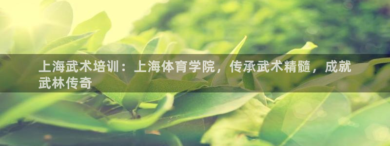 极悦平台注册用户名验证码是什么：上海武术培训：上海体