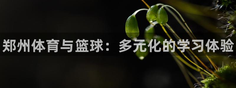 极悦平台用户评价