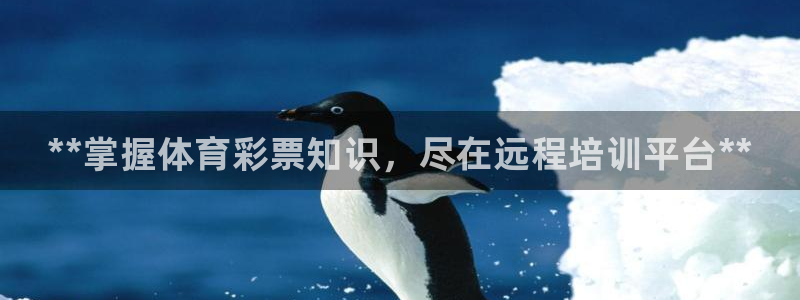 极悦平台官方网站：**掌握体育彩票知识，尽在远程培训