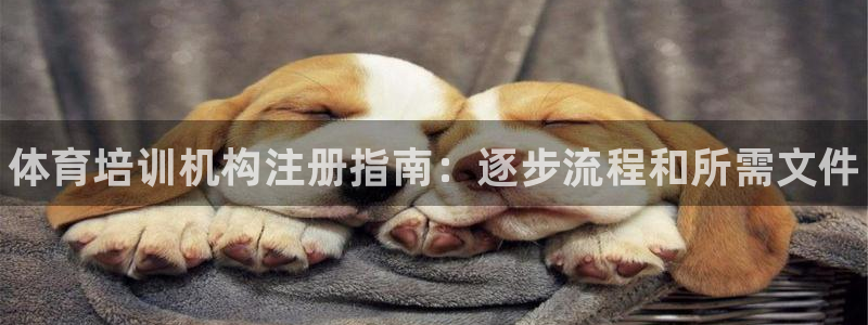 极悦平台官方网站下载安装：体育培训机构注册指南：逐步