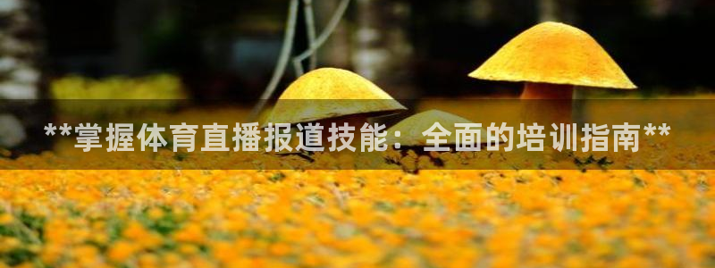 无锡极悦科技有限公司：**掌握体育直播报道技能：全面