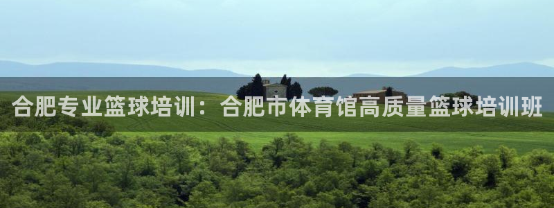 极悦平台app二维码怎么弄：合肥专业篮球培训：合肥市体育馆高