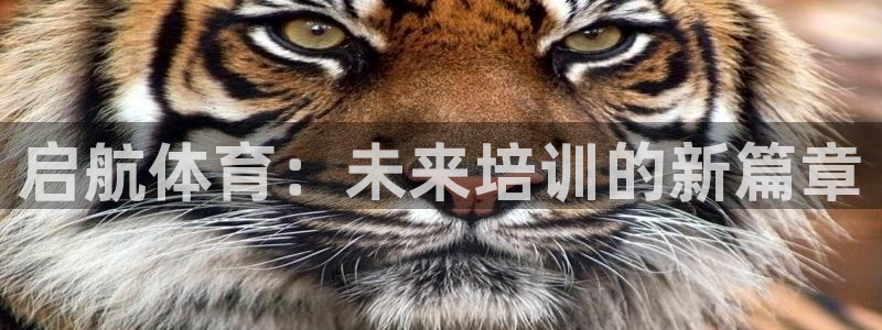 极悦平台官方网站：启航体育：未来培训的新篇章