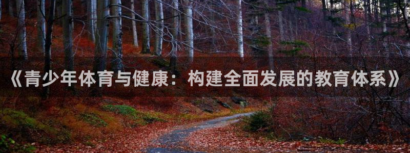 极悦平台与网易合作详情