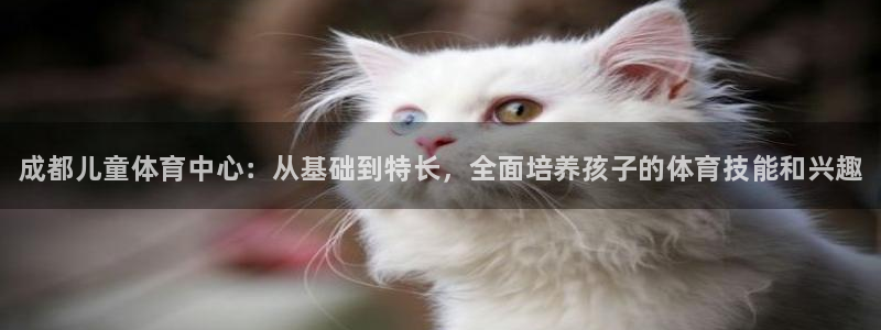 极悦娱乐官网入口下载