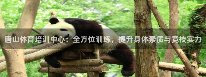 极悦官网首页登录入口下载：唐山体育培训中心：全方位训